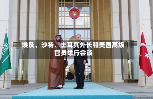 埃及、沙特、土耳其外长和美国高级官员举行会谈-第3张图片