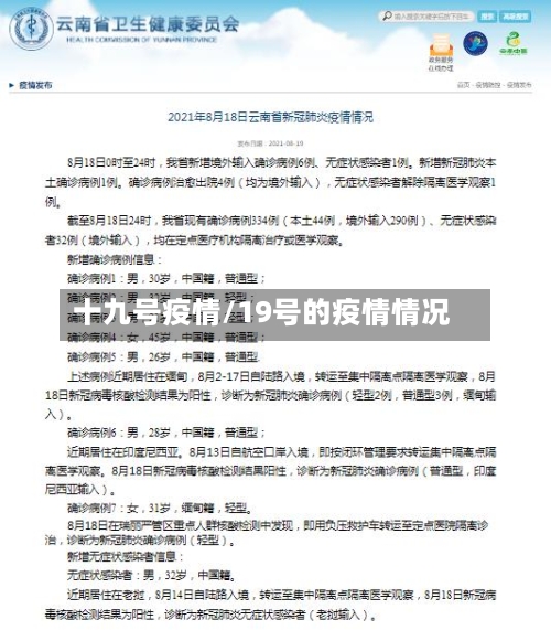 十九号疫情/19号的疫情情况