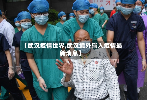 【武汉疫情世界,武汉境外输入疫情最新消息】-第2张图片