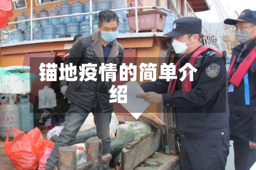 锚地疫情的简单介绍