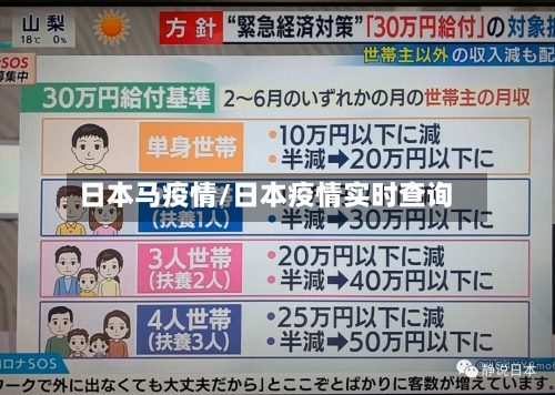 日本马疫情/日本疫情实时查询-第2张图片