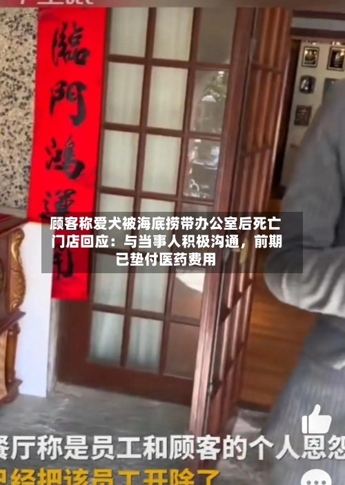 顾客称爱犬被海底捞带办公室后死亡 门店回应：与当事人积极沟通，前期已垫付医药费用