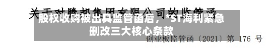 股权收购被出具监管函后，*ST海利紧急删改三大核心条款-第2张图片