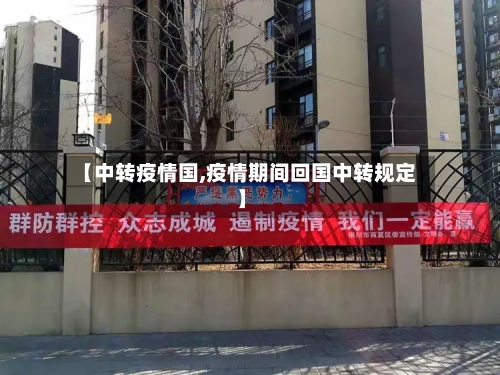 【中转疫情国,疫情期间回国中转规定】-第2张图片
