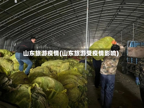 山东旅游疫情(山东旅游受疫情影响)