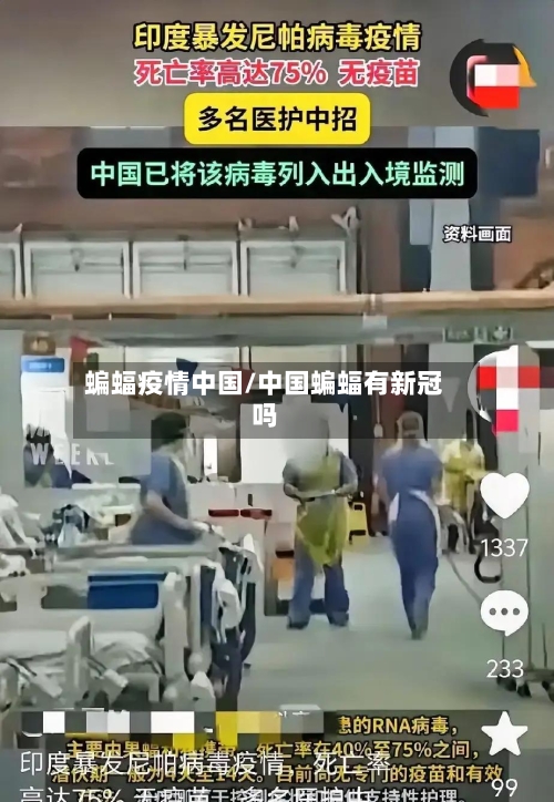 蝙蝠疫情中国/中国蝙蝠有新冠吗-第3张图片
