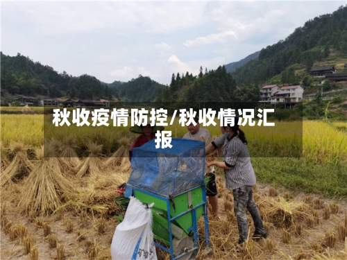 秋收疫情防控/秋收情况汇报