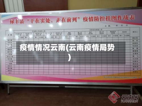 疫情情况云南(云南疫情局势)-第3张图片