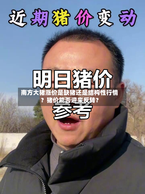 南方大猪涨价是缺猪还是结构性行情？猪价能否迎来反转？