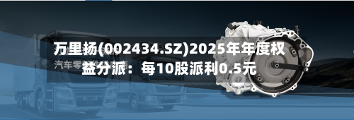 万里扬(002434.SZ)2025年年度权益分派:每10股派利0.5元-第2张图片