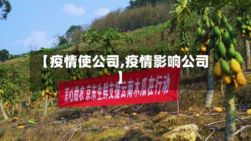 【疫情使公司,疫情影响公司】-第2张图片