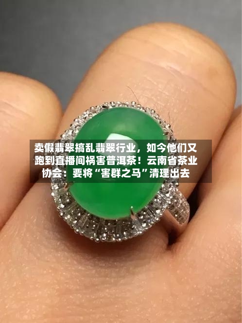 卖假翡翠搞乱翡翠行业，如今他们又跑到直播间祸害普洱茶！云南省茶业协会：要将“害群之马”清理出去-第3张图片