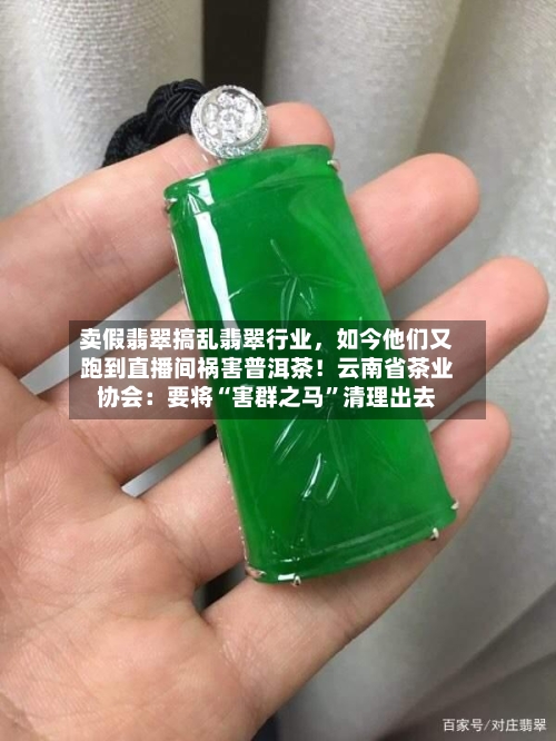 卖假翡翠搞乱翡翠行业，如今他们又跑到直播间祸害普洱茶！云南省茶业协会：要将“害群之马”清理出去