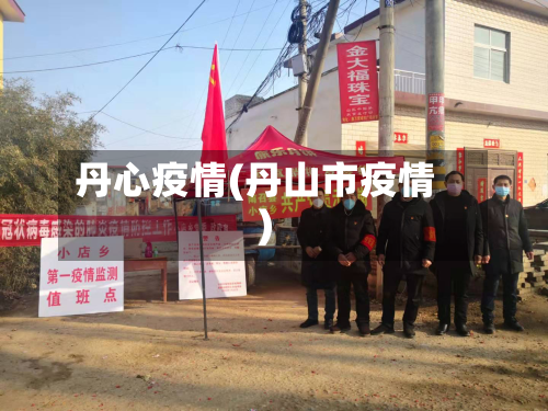 丹心疫情(丹山市疫情)