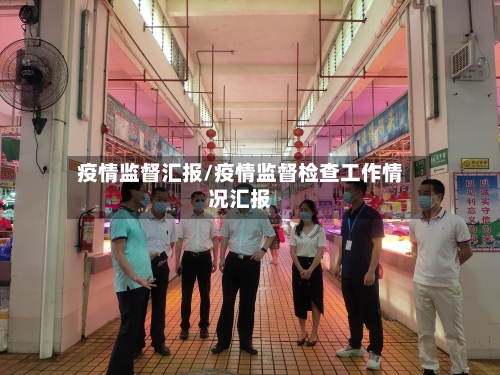 疫情监督汇报/疫情监督检查工作情况汇报-第2张图片