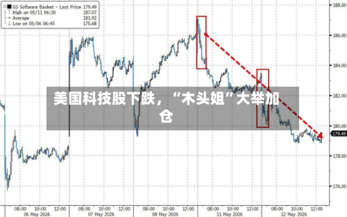 美国科技股下跌，“木头姐	”大举加仓-第2张图片