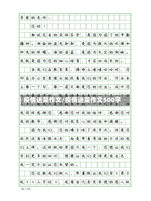疫情送菜作文/疫情送菜作文500字