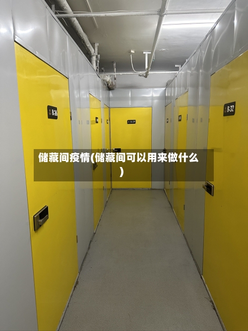 储藏间疫情(储藏间可以用来做什么)-第3张图片
