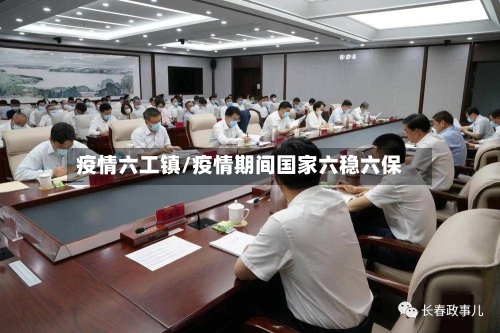 疫情六工镇/疫情期间国家六稳六保