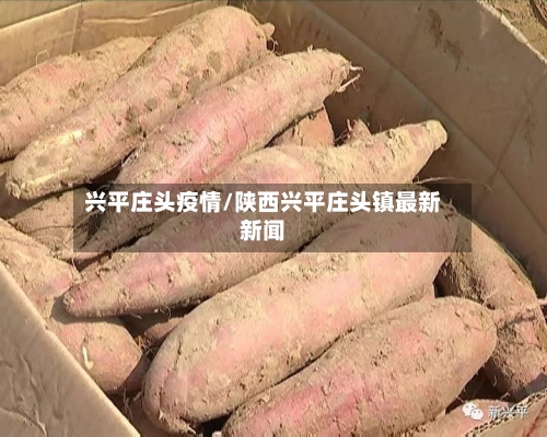 兴平庄头疫情/陕西兴平庄头镇最新新闻-第2张图片