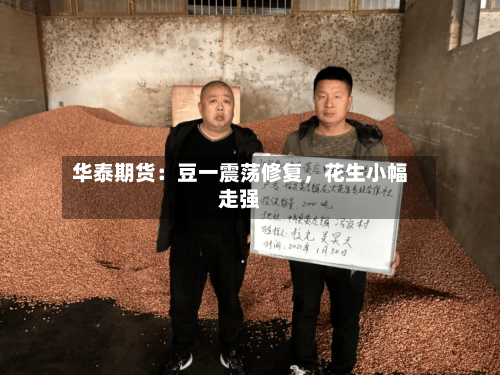 华泰期货：豆一震荡修复，花生小幅走强-第3张图片
