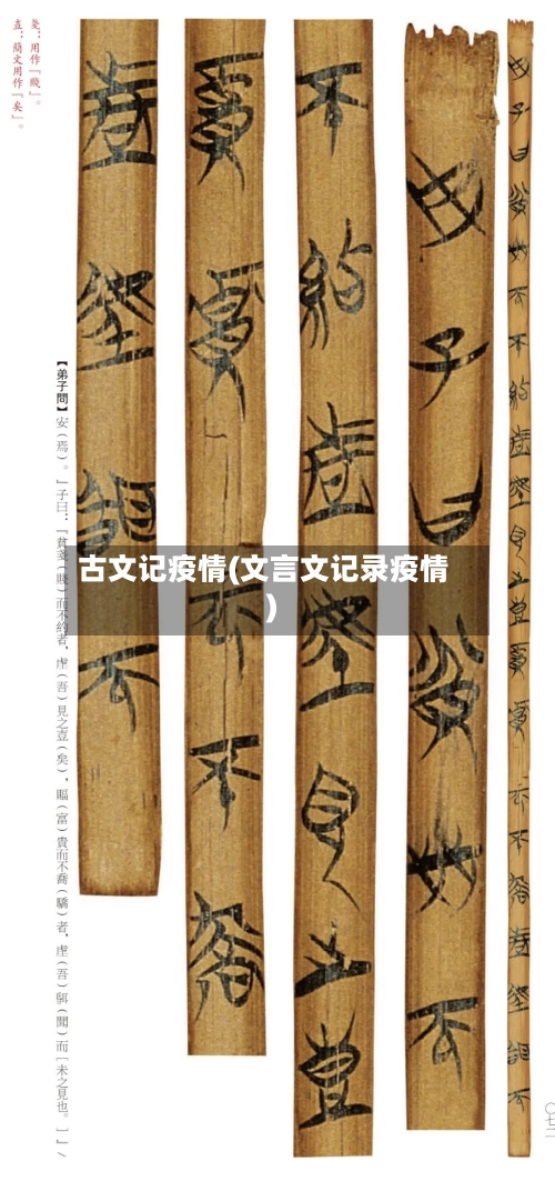 古文记疫情(文言文记录疫情)