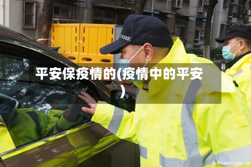 平安保疫情的(疫情中的平安)