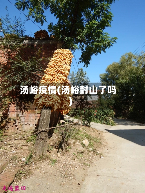 汤峪疫情(汤峪封山了吗)