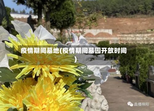 疫情期间墓地(疫情期间墓园开放时间)