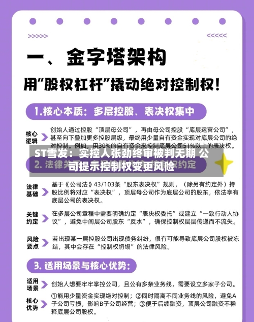 ST雪发：实控人张劲终审被判无期 公司提示控制权变更风险-第2张图片