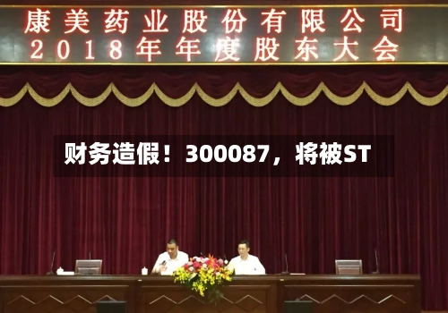 财务造假！300087，将被ST-第2张图片