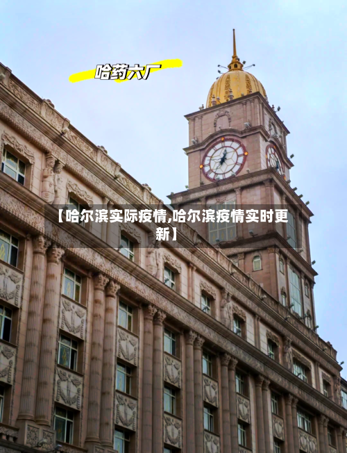 【哈尔滨实际疫情,哈尔滨疫情实时更新】