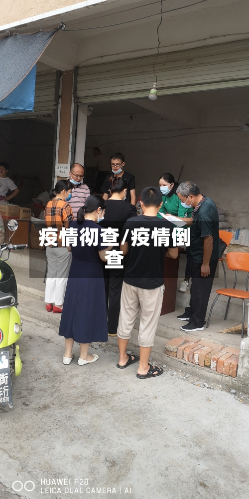 疫情彻查/疫情倒查-第3张图片