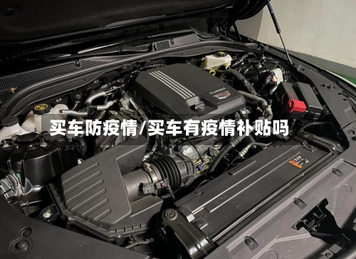 买车防疫情/买车有疫情补贴吗-第2张图片