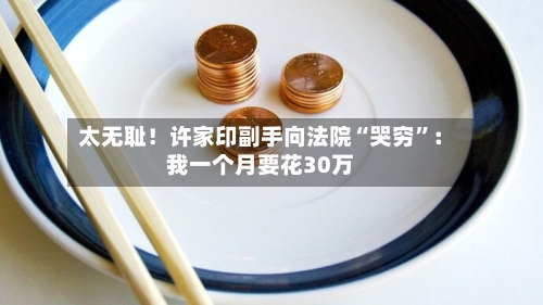 太无耻！许家印副手向法院“哭穷”：我一个月要花30万-第2张图片