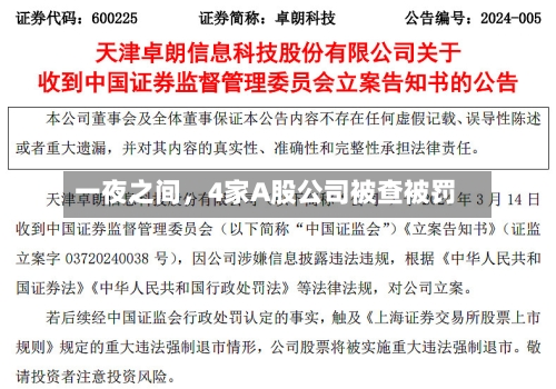一夜之间，4家A股公司被查被罚-第2张图片