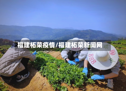 福建柘荣疫情/福建柘荣新闻网