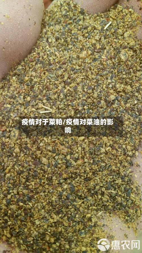 疫情对于菜粕/疫情对菜油的影响-第2张图片