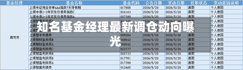 知名基金经理最新调仓动向曝光-第3张图片