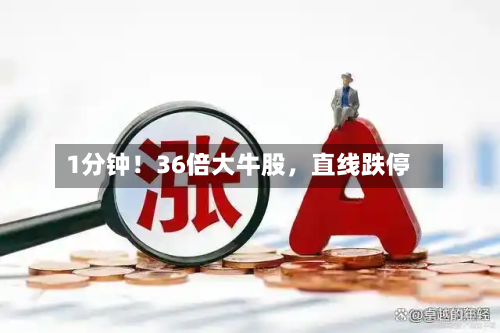 1分钟！36倍大牛股，直线跌停-第2张图片