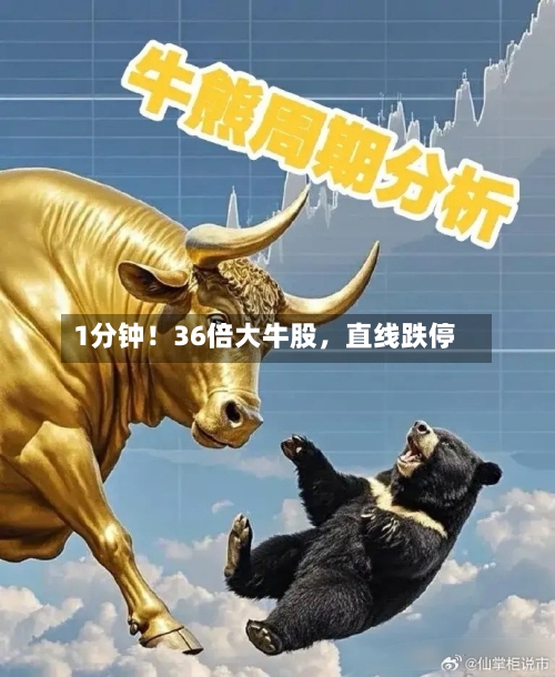 1分钟！36倍大牛股，直线跌停-第3张图片
