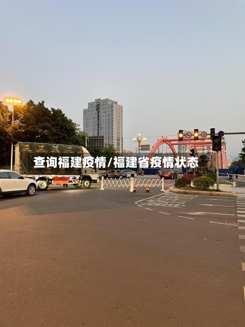 查询福建疫情/福建省疫情状态-第2张图片