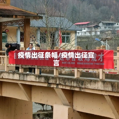 疫情出征条幅/疫情出征宣言-第3张图片