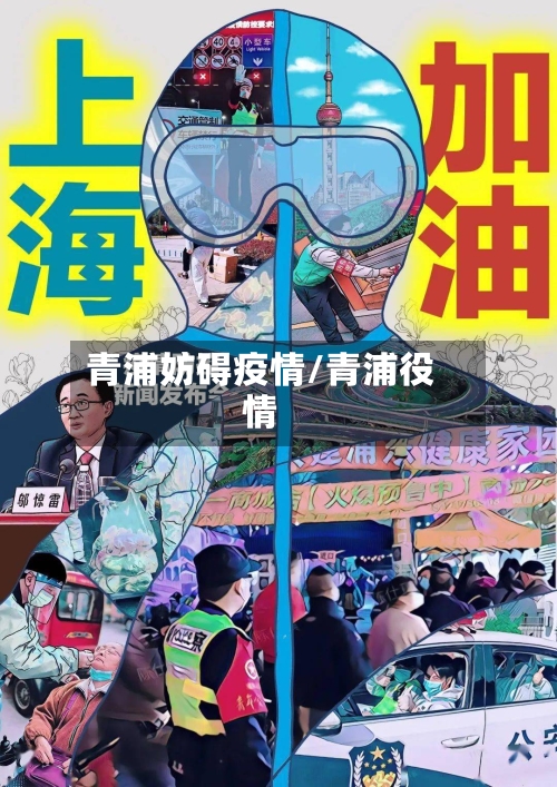 青浦妨碍疫情/青浦役情