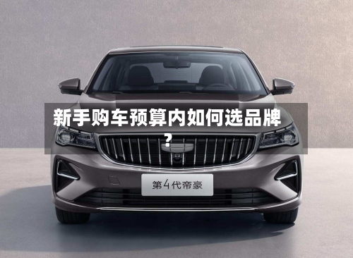 新手购车预算内如何选品牌?-第3张图片