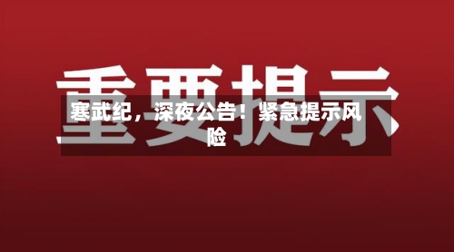 寒武纪，深夜公告！紧急提示风险-第2张图片