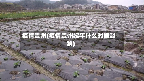 疫情贵州(疫情贵州黎平什么时候封路)