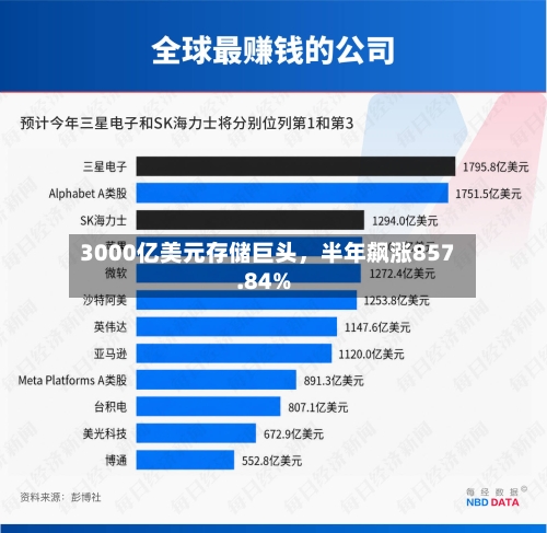 3000亿美元存储巨头	，半年飙涨857.84%-第2张图片