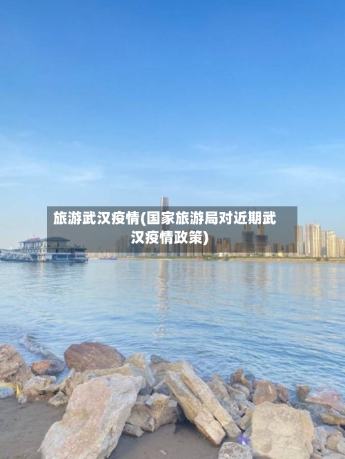 旅游武汉疫情(国家旅游局对近期武汉疫情政策)-第2张图片
