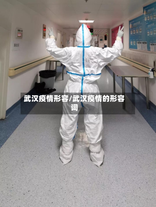 武汉疫情形容/武汉疫情的形容词